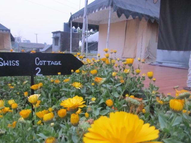 Derra Camp And Resort Jhājra Kültér fotó